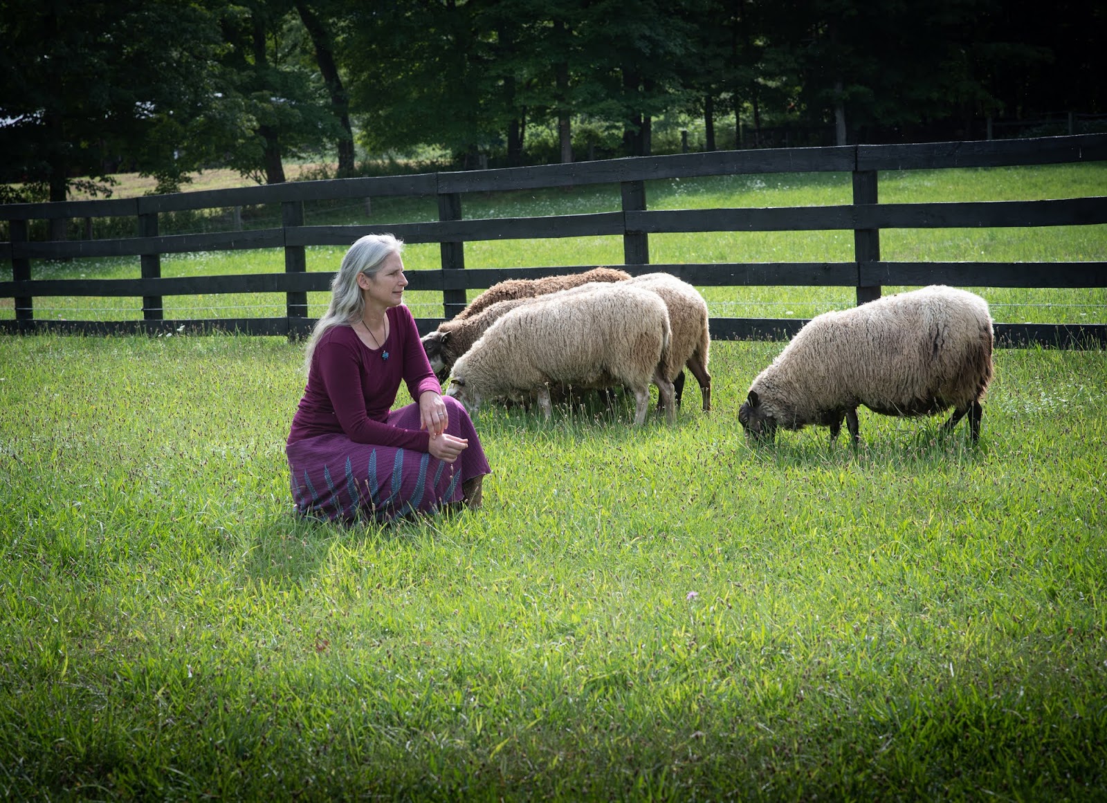 Sten and Cara Leigh sitting among their Finnsheep flock on pasture at Point of View Farm in Dutchess County, New York